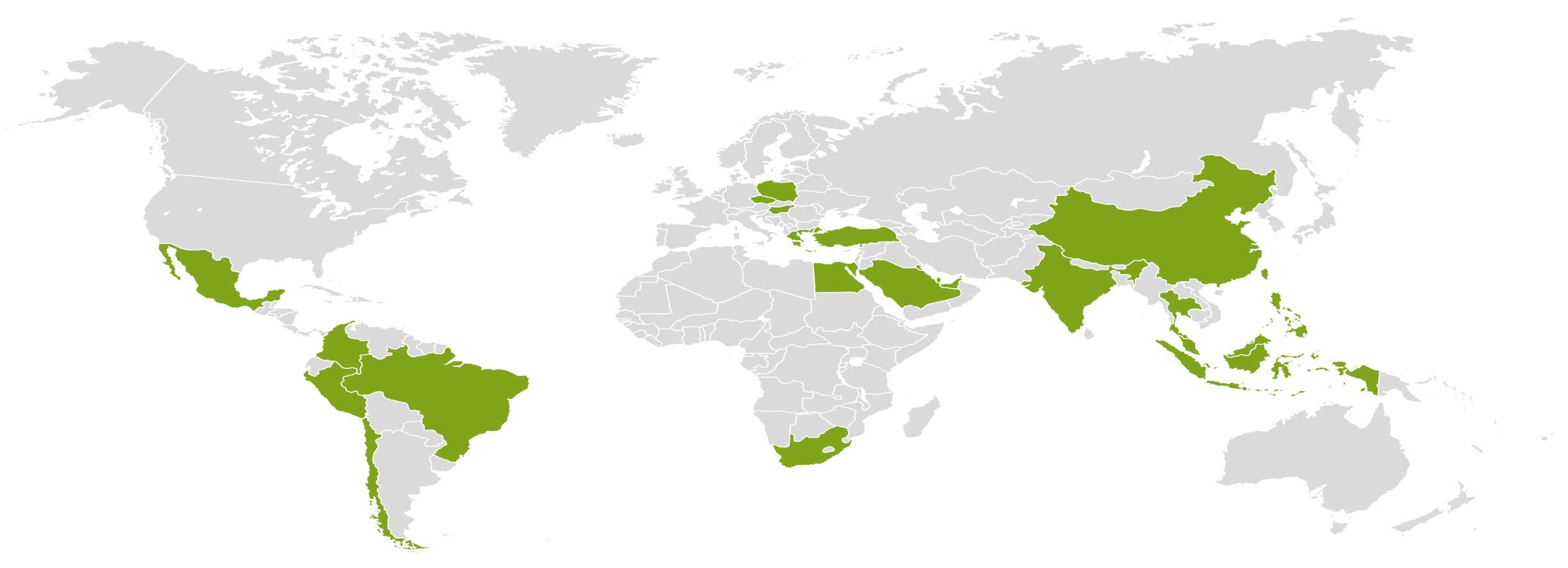 World map